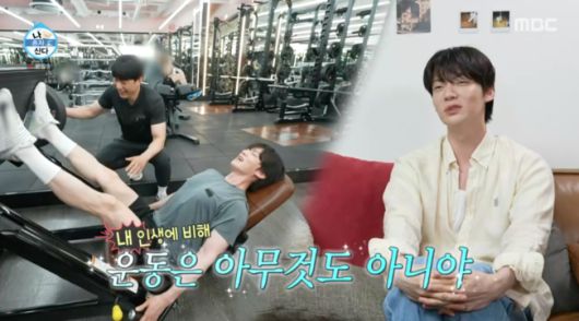 OSEN
