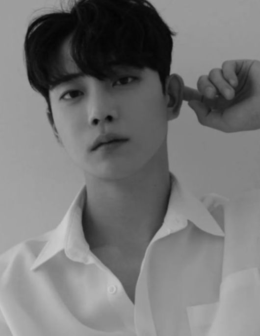 OSEN