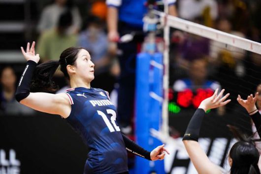 VNL 공식 홈페이지