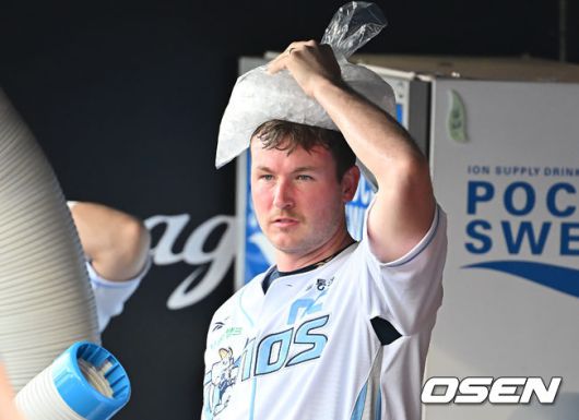 라일리. / OSEN DB