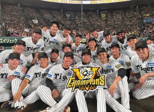 한신 타이거즈 인스타그램 캡쳐