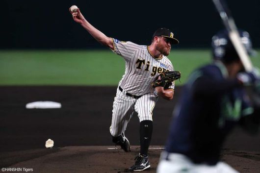 한신 타이거스 SNS