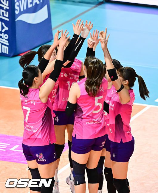 흥국생명 선수들. / OSEN DB