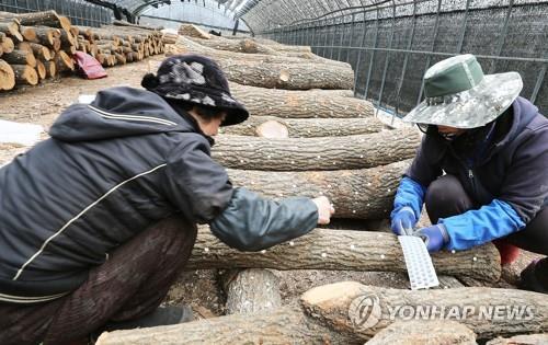 연합뉴스