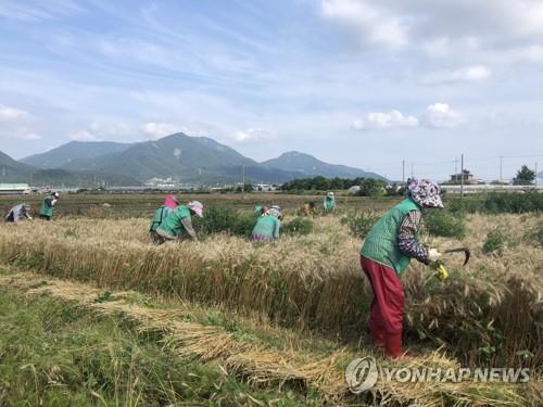 연합뉴스