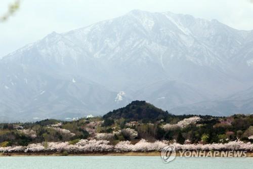 연합뉴스