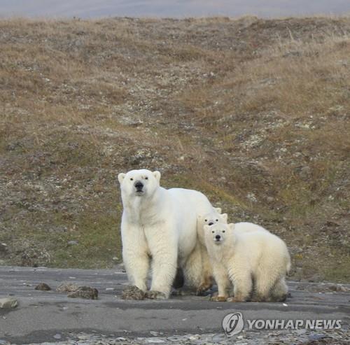 연합뉴스