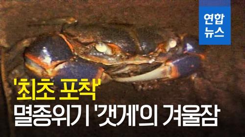 연합뉴스