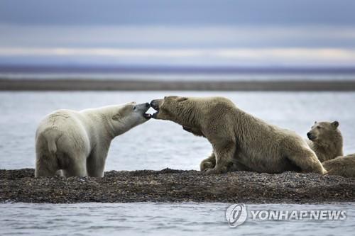 연합뉴스