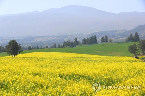 연합뉴스