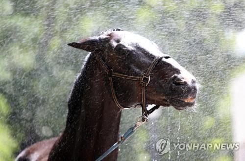 연합뉴스