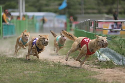 연합뉴스