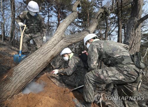 연합뉴스