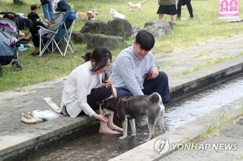 연합뉴스