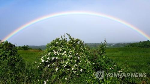 연합뉴스