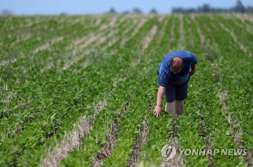 연합뉴스