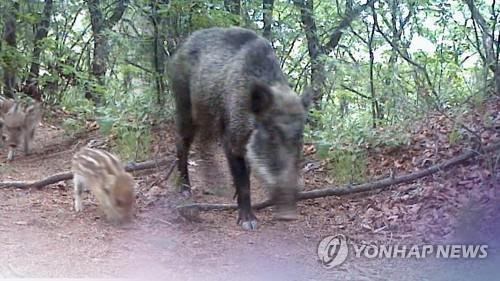 연합뉴스