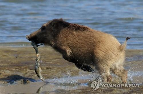 연합뉴스