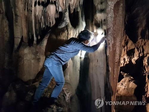 연합뉴스