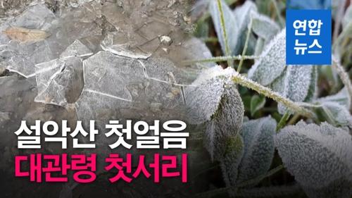 연합뉴스