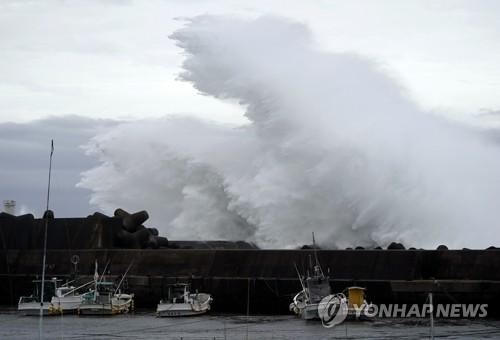 연합뉴스