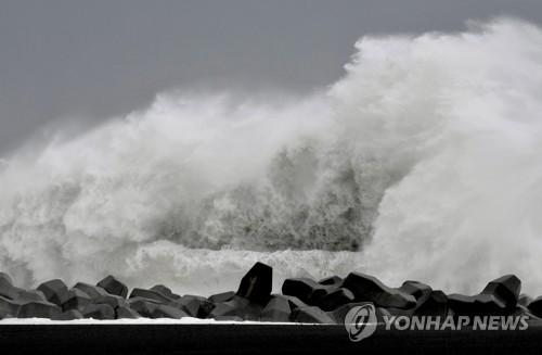 연합뉴스