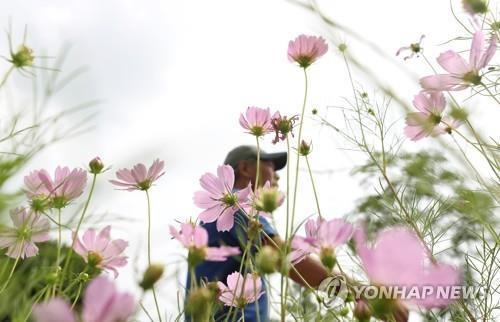 연합뉴스