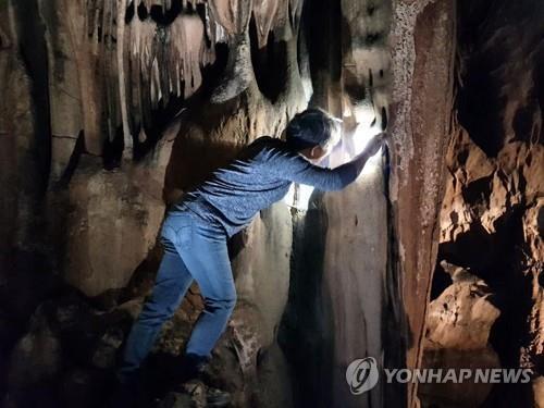 연합뉴스