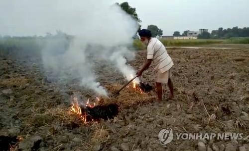 연합뉴스