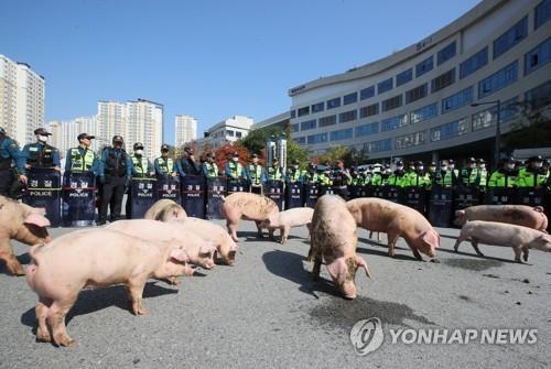 연합뉴스