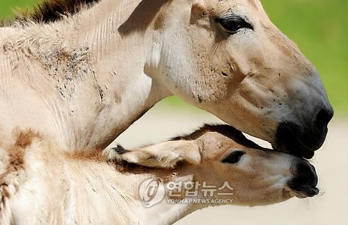 연합뉴스