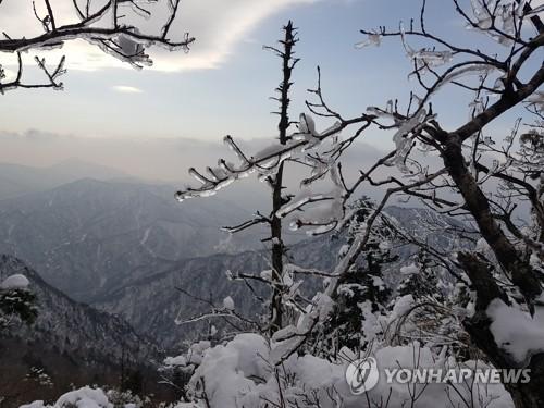 연합뉴스