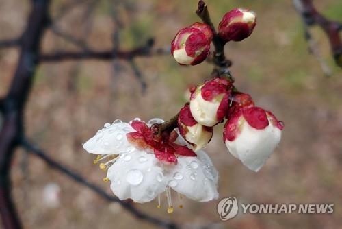 연합뉴스