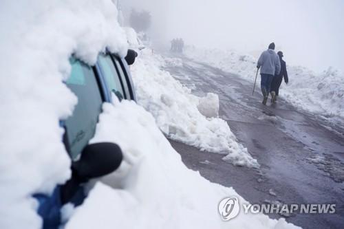 연합뉴스