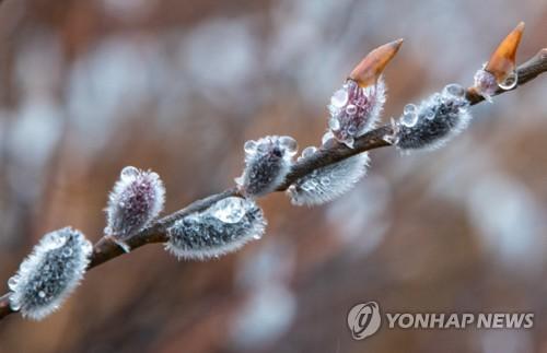 연합뉴스