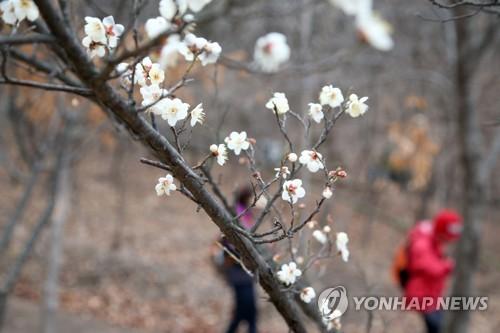 연합뉴스