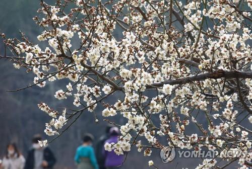 연합뉴스