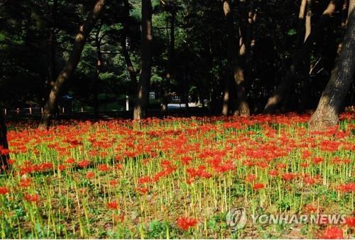 연합뉴스