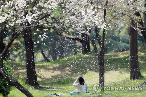 연합뉴스