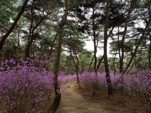 연합뉴스