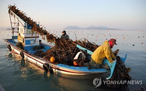 연합뉴스