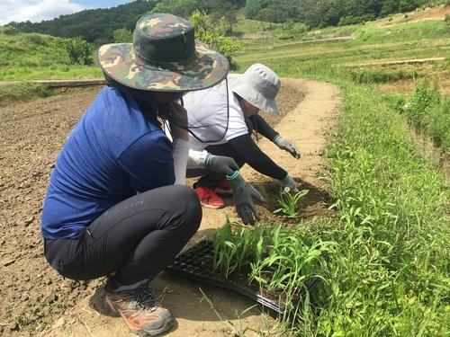 연합뉴스