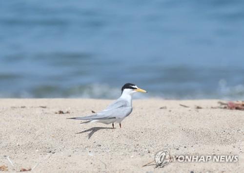 연합뉴스