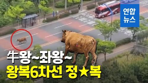 연합뉴스