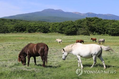 연합뉴스