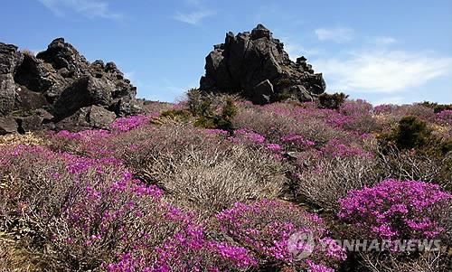 연합뉴스