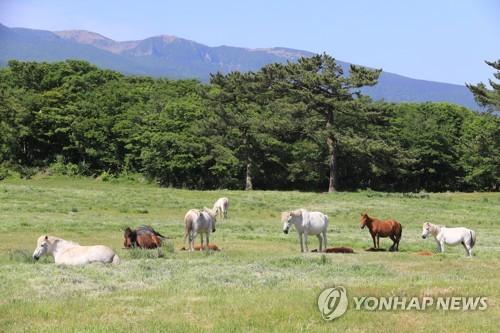 연합뉴스