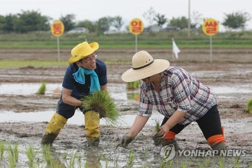 연합뉴스