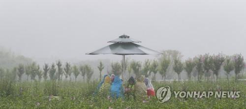 연합뉴스