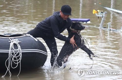 연합뉴스